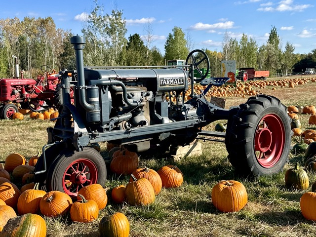 gray farmall tractor